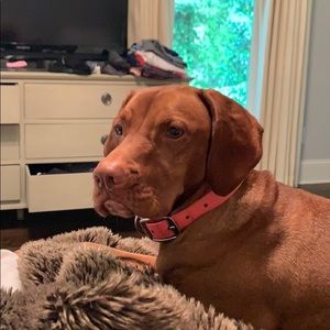 Meet your Posher, Meredith